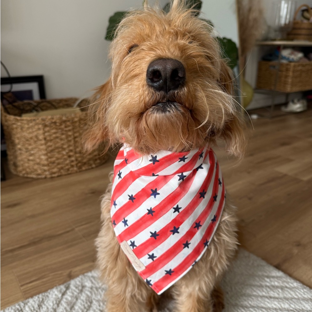 Red and White Striped Dog Bandana with Blue Stars